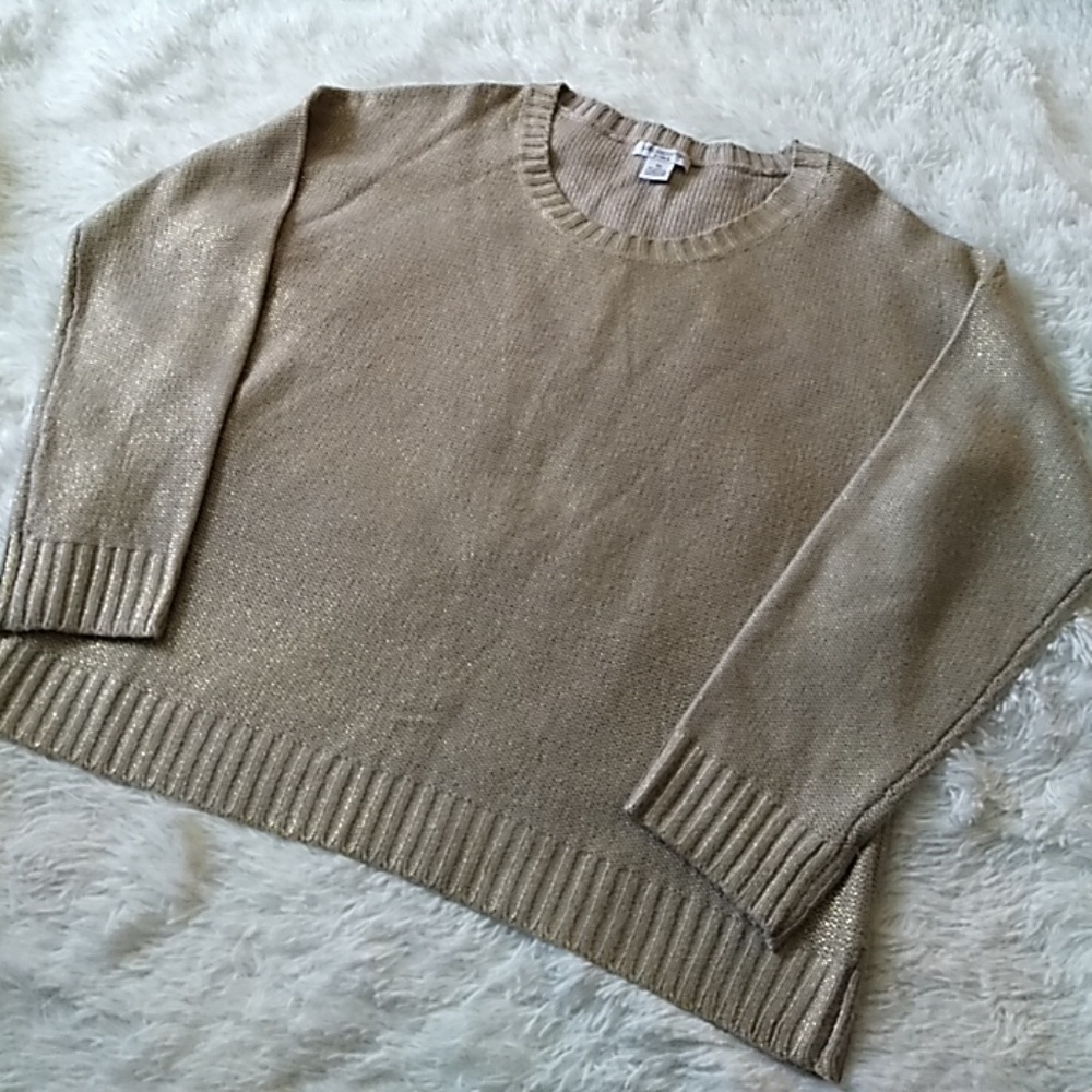 Liz Claiborne Sweater. Sz 1X